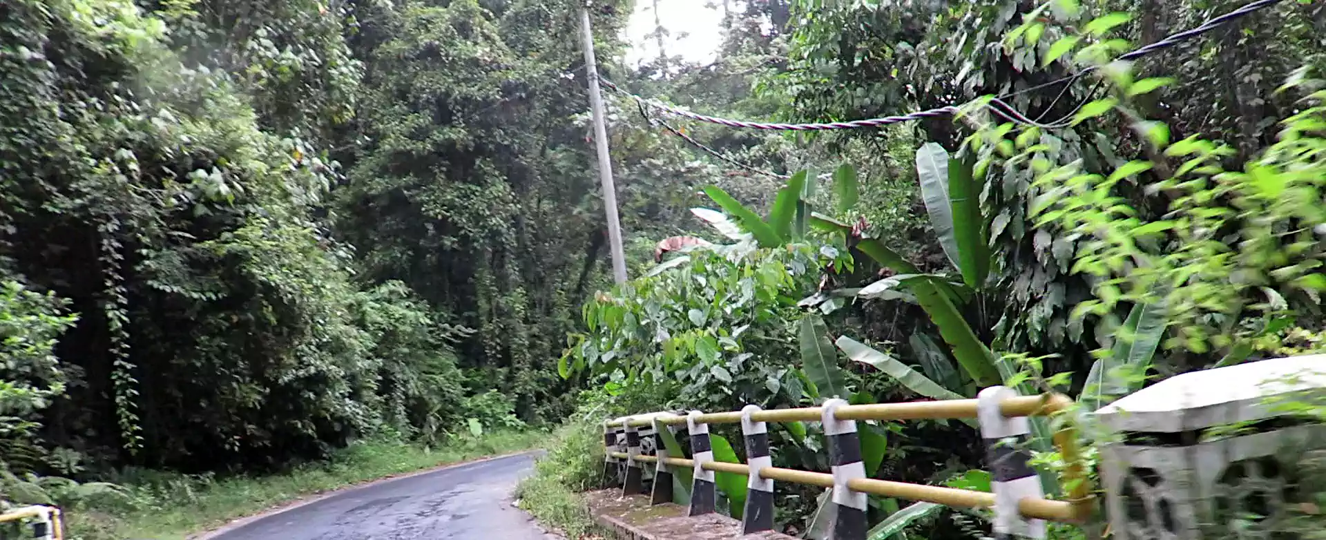 Through the jungle to Liwa Lampung Sumatra.